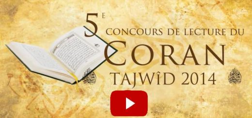 videos_warattil_2015